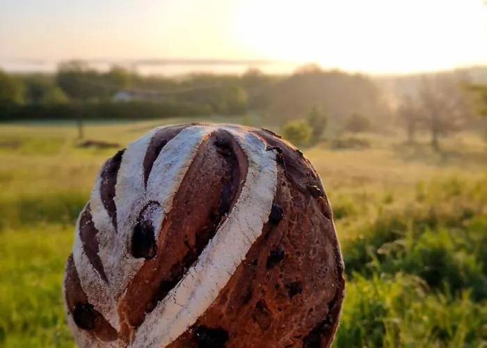 Maison Aurinko Bed & Breakfast